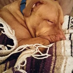 Meet your Posher, Meta jane